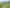 225 State Highway 65, Reefton