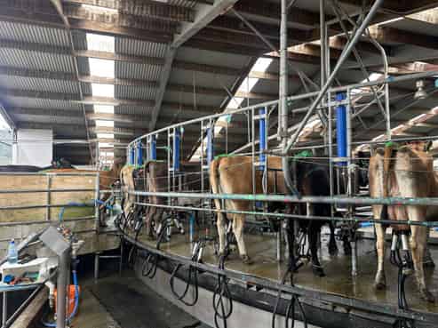 225 State Highway 65, Reefton