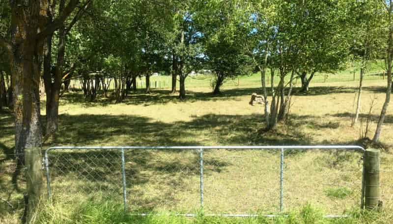Lot 1 202 Tapairu Road, Waipawa
