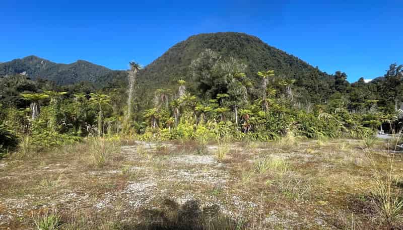 3 Batson Place, Franz Josef Glacier