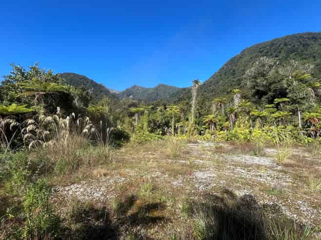 3 Batson Place, Franz Josef Glacier