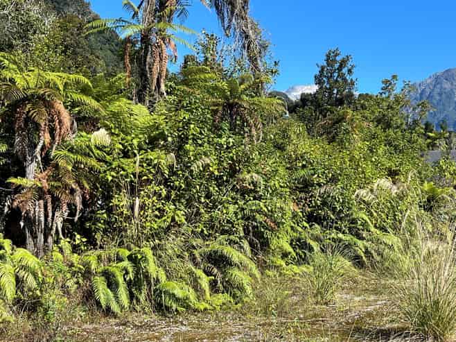 3 Batson Place, Franz Josef Glacier