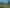 8 Thompson Road, Opotiki and Surrounds