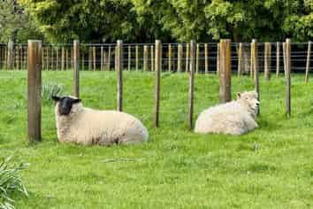 298C Belk Road, Omanawa