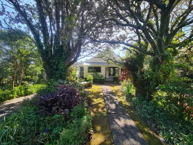 195 Driving Creek Road, Coromandel