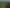 195 Driving Creek Road, Coromandel