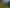 195 Driving Creek Road, Coromandel