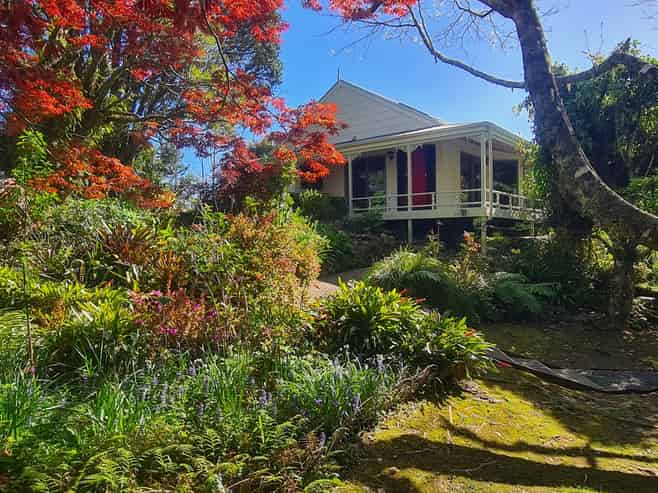 195 Driving Creek Road, Coromandel