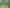 195 Driving Creek Road, Coromandel