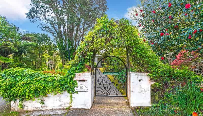 195 Driving Creek Road, Coromandel