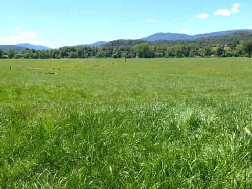  3061 State Highway 69, Inangahua