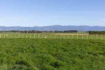 595 East Taratahi Road, East Taratahi