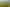 595 East Taratahi Road, East Taratahi
