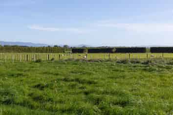 595 East Taratahi Road, East Taratahi