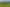 595 East Taratahi Road, East Taratahi