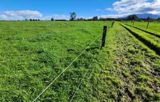 0n Ross Road, Tariki