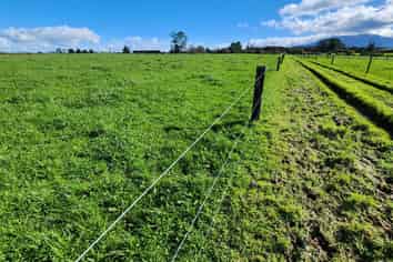 0n Ross Road, Tariki