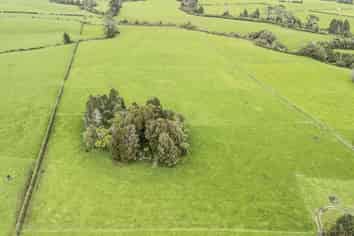 0n Ross Road, Tariki