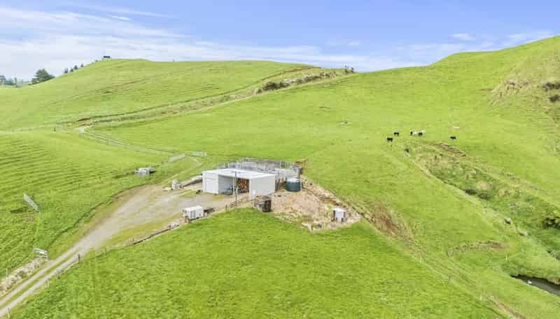 348 Ratapiko Road, Ratapiko