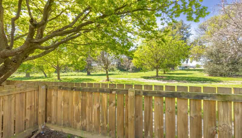 8 Panckhurst Street, Havelock North