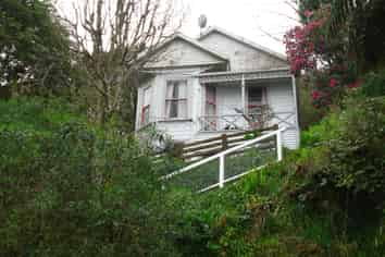 13 Mortimer Terrace, Aro Valley