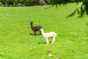 20 Coroglen Rise, Plimmerton