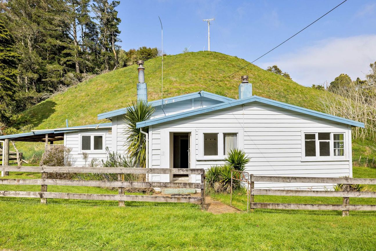1.5 ha Character Lifestyle Block With Cottage - Widok 2
