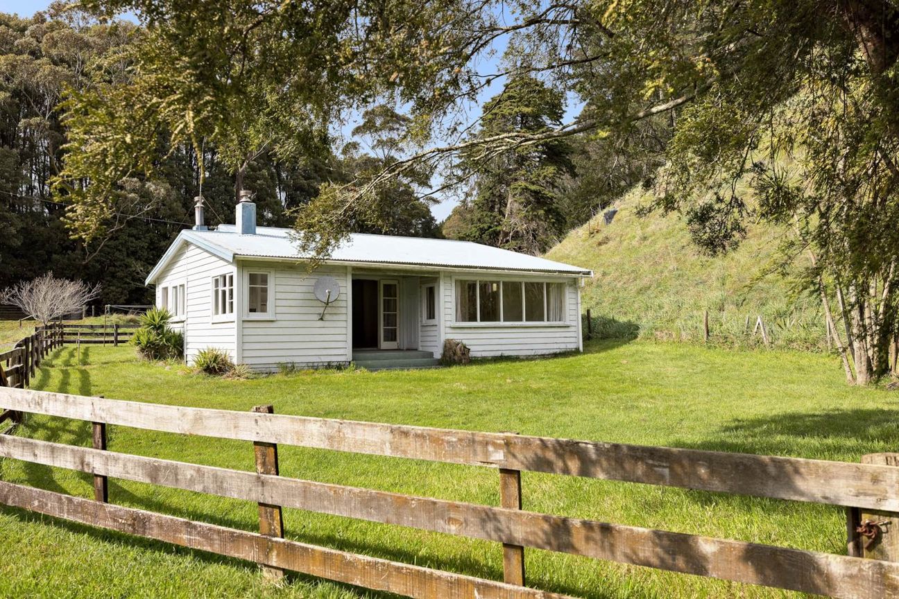1.5 ha Character Lifestyle Block With Cottage - Widok 5