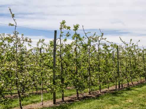 119 Parkhill Road, Haumoana