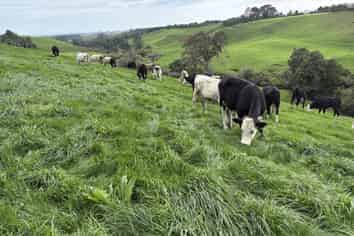 971 Richmond Road, Lepperton