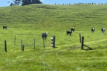 971 Richmond Road, Lepperton