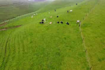 971 Richmond Road, Lepperton