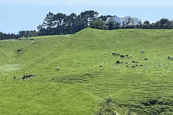 971 Richmond Road, Lepperton