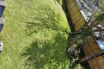 1/4A Walsall Street, Avondale