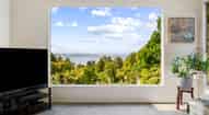Open gallery