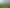 106 Bambury Place, Onemana