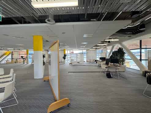 Rare premium grade offering