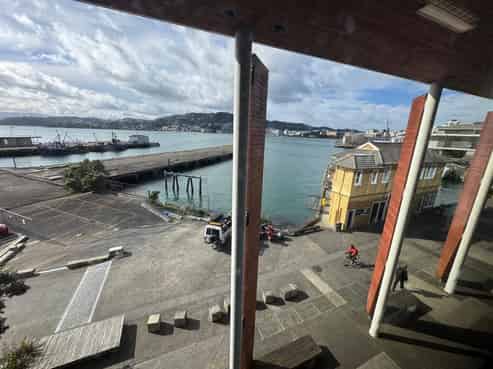 Rare premium grade offering