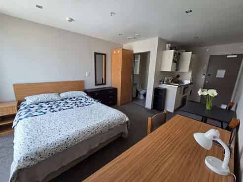 504/142 Vivian Street, Te Aro