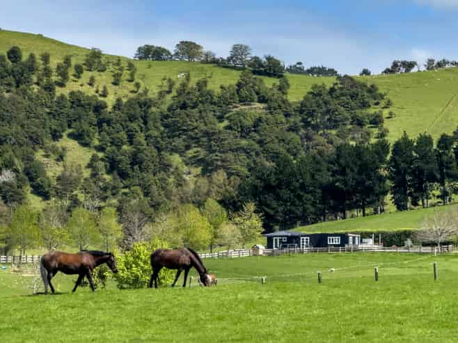 105 Twilight Road, Clevedon