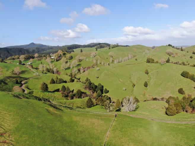 1891 Ohura Mokau Road, Piopio