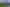 Auckland - Address withheld