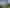 Auckland - Address withheld