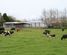 627 Inland North Road, Onaero, New Plymouth, Taranaki