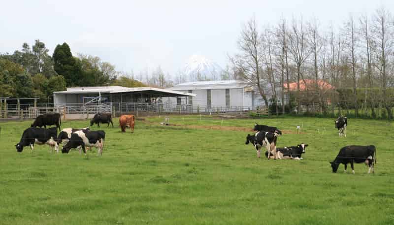 627 Inland North Road, Onaero