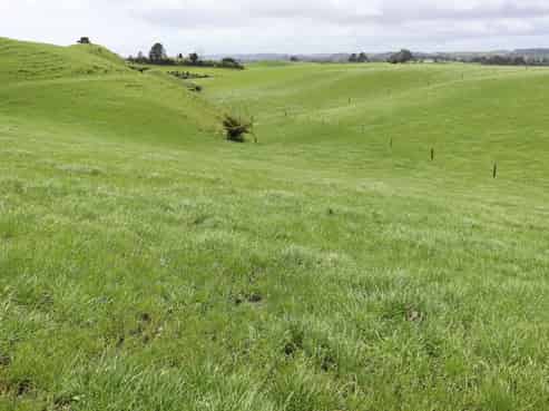 627 Inland North Road, Onaero