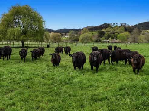 125B Paul Road, Whakatane