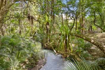 204 Omaha Valley Road, Matakana