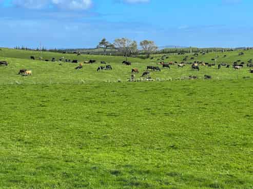 421 Journeys End, Tapora, Wellsford