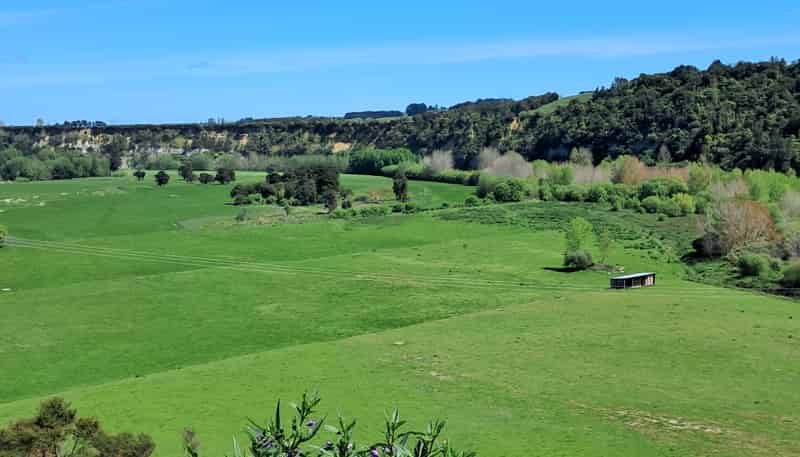 243 Te Awa Road, Kiwitea